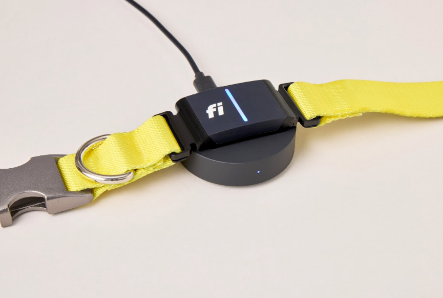 A yellow Series 3+ Fi Collar docked and charging on the Fi Base