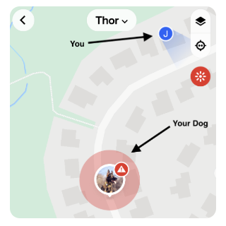 Screenshot view of the Fi App during Lost Mode showing the dog's location in relation to owner's relation
