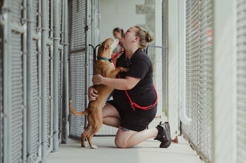 Profile view of a tan shelter dog licking and hugging one of the shelter staff.png