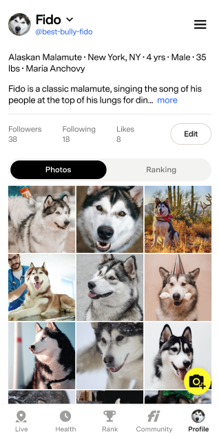 Screenshot view of the Social Features in the Fi App, showing Fido the Alaskan Malamute's profile.