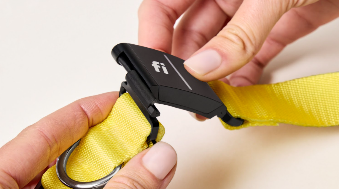 Aerial view of a Fi Series 3+ Tracker being detached from the yellow collar band.png