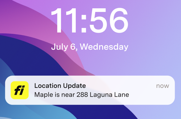 Startbildschirm eines iPhones mit einer Fi-Benachrichtigung zu einem Standort-Update