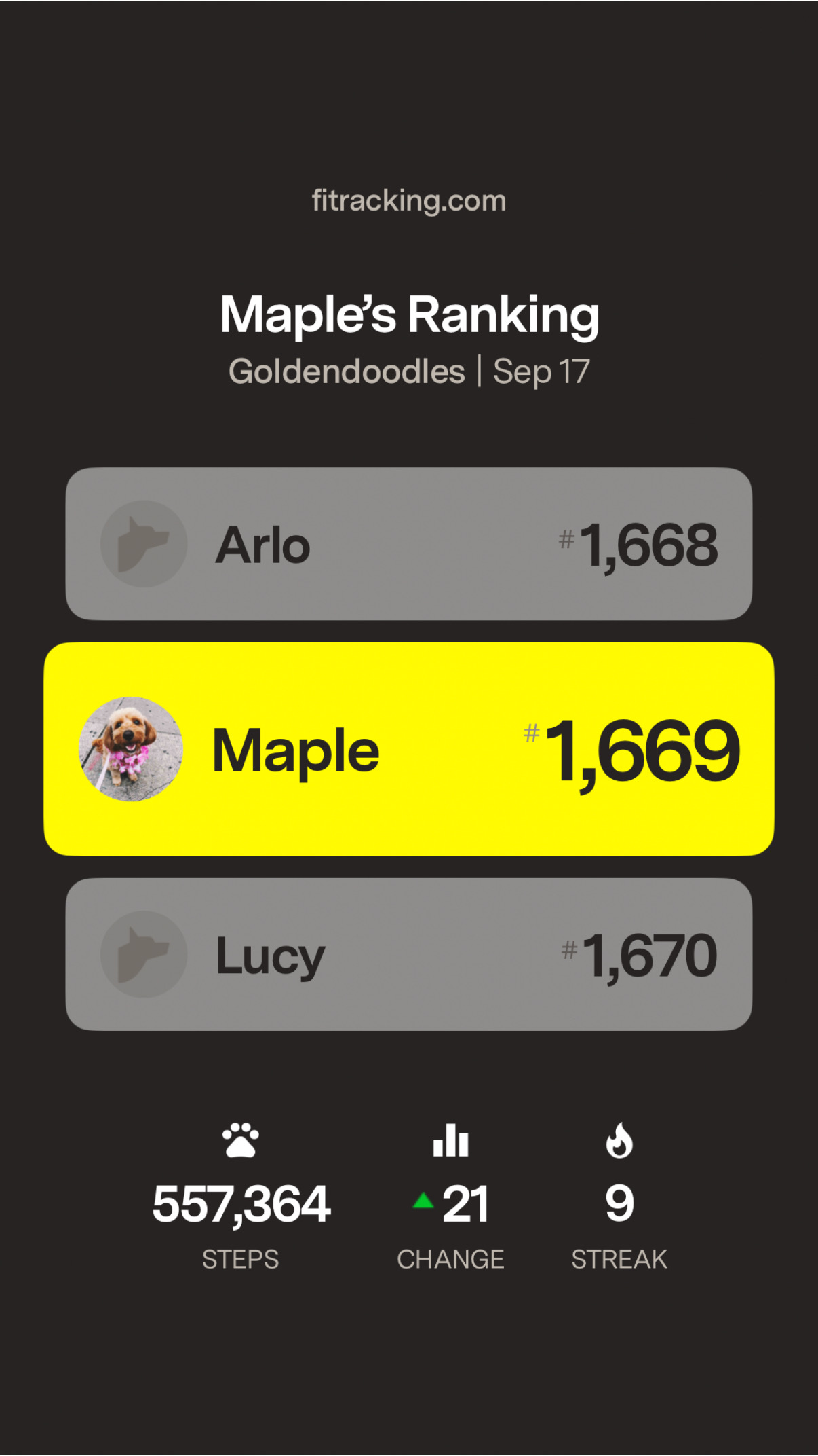Screenshot view of the Fi App showing Maple's ranking among Goldendoodles on Fi.JPG