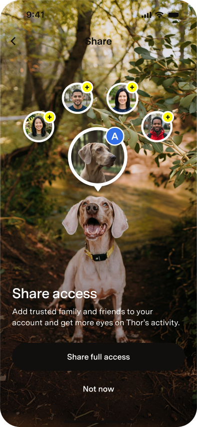 Screenshot view of the Fi App's Share Access page showing how to add pack members.png