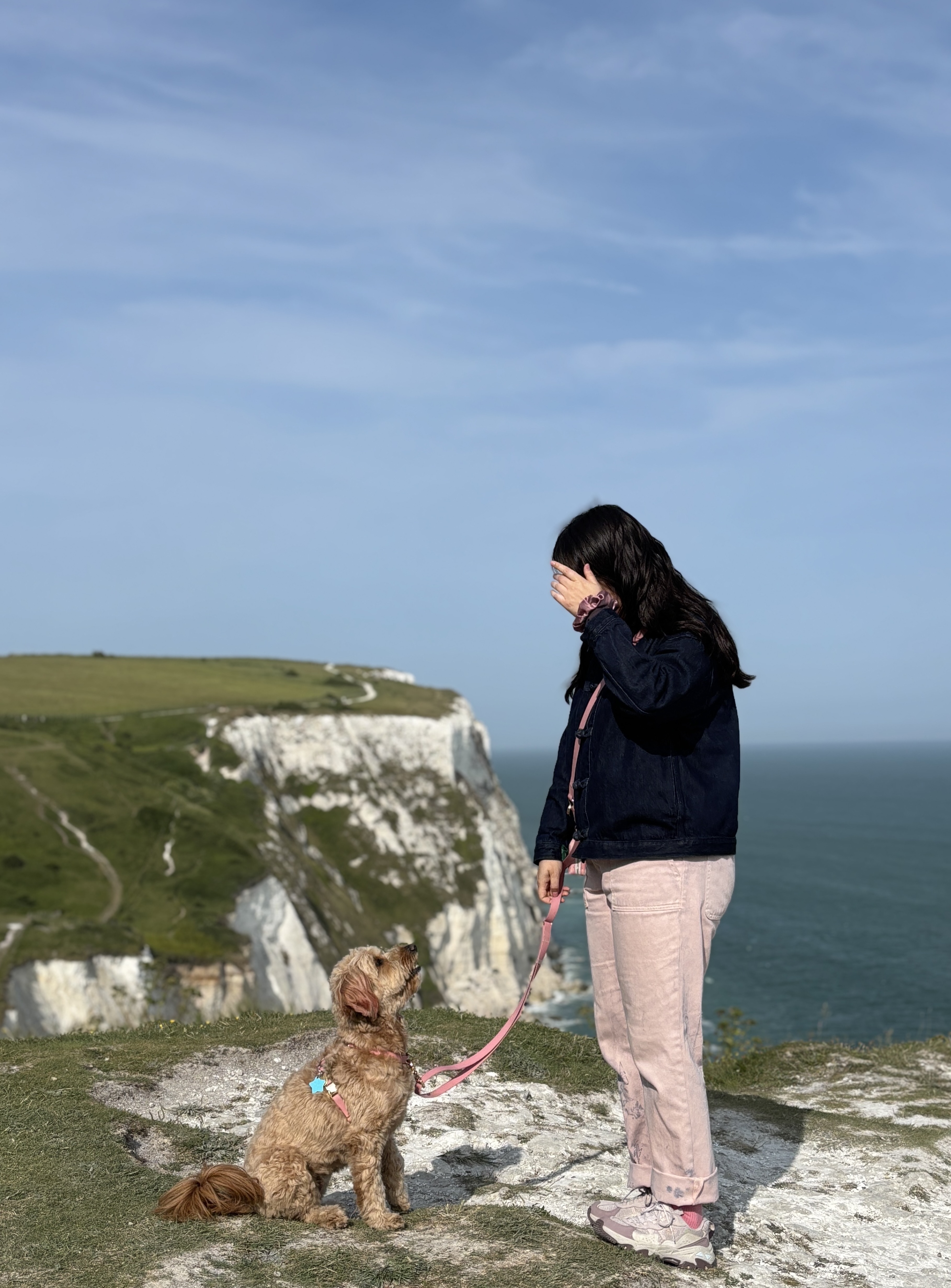 Profilansicht einer Goldendoodle-Hündin und ihres Besitzers, die sich auf den Klippen von Dover in Großbritannien gegenüberstehen