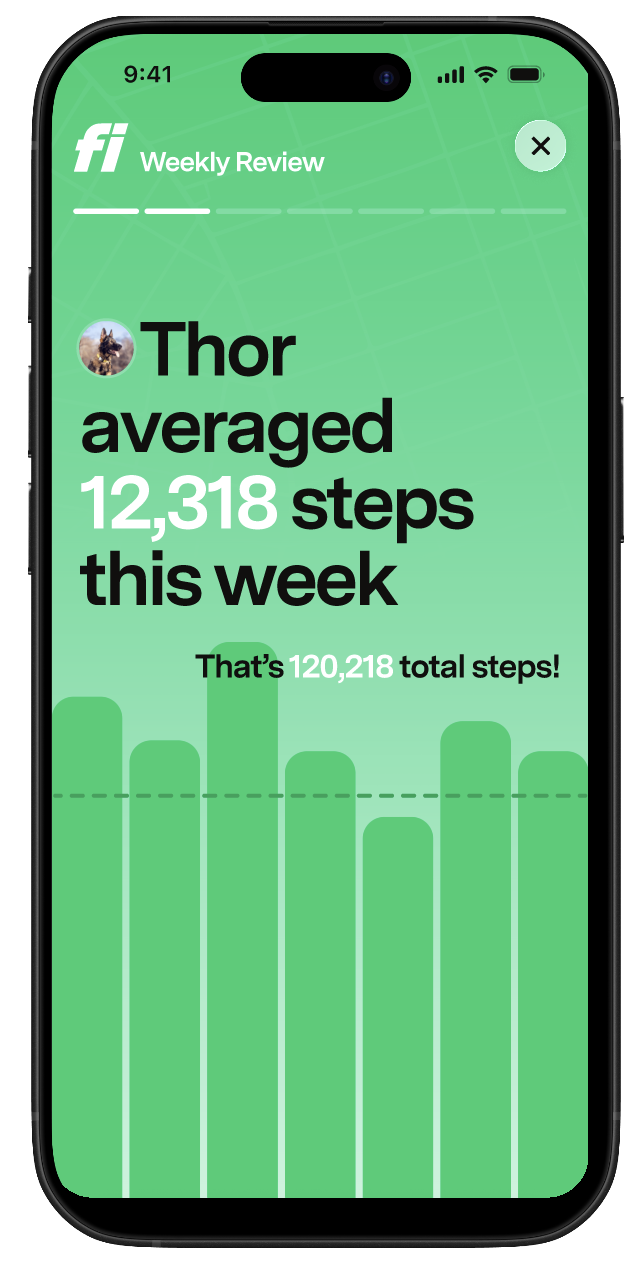 Second slide of the weekly recap card in the Fi App