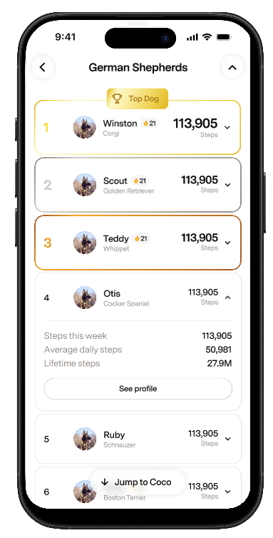 German Shepherd leaderboard in the Fi App with the Jump to Coco button
