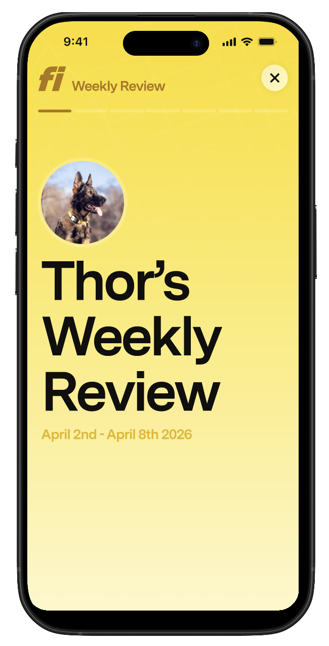 First slide of the weekly recap card in the Fi App